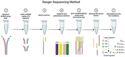 Application of next-generation sequencing to identify different pathogens
